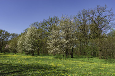 Similar image 21118295