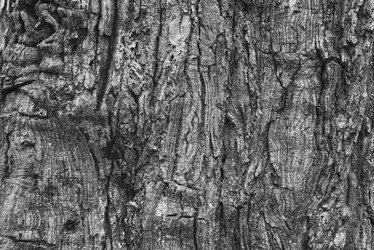 Similar image 21118299