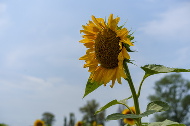 Similar image 21124560