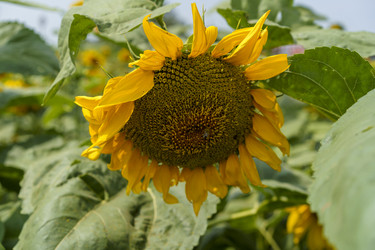 Similar image 21124562