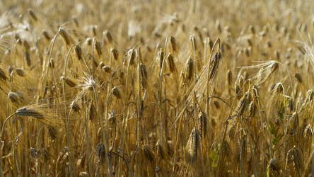 Similar image 21124563