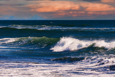 Similar image 21117253