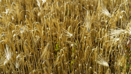 Similar image 21117255