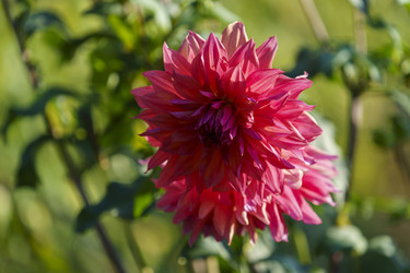 Similar image 21117257