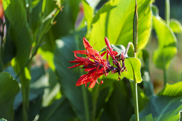 Similar image 21124358