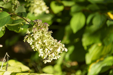 Similar image 21124362