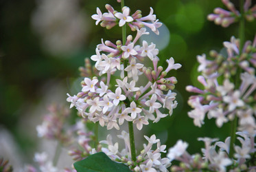 Similar image 21129448