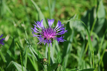 Similar image 21129449