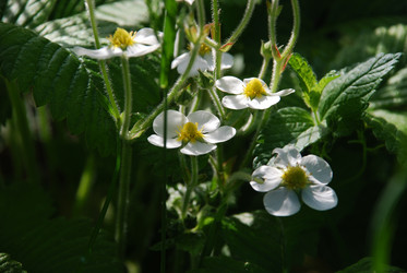 Similar image 21129450