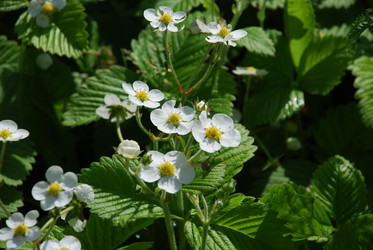 Similar image 21129452