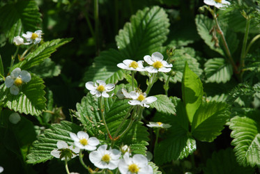 Similar image 21129453