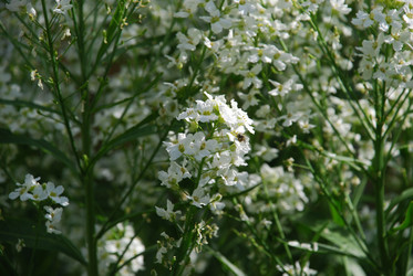 Similar image 21129455