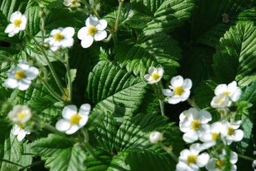 Similar image 21129456