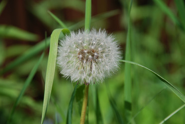 Similar image 21129458