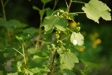 Similar image 21129459