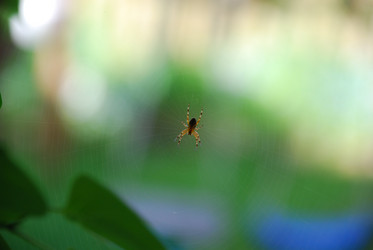 Similar image 21129460