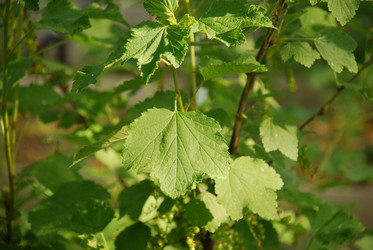 Similar image 21129461