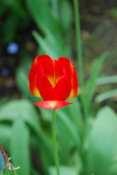 Similar image 21129883