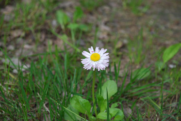 Similar image 21129884