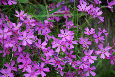 Similar image 21129462