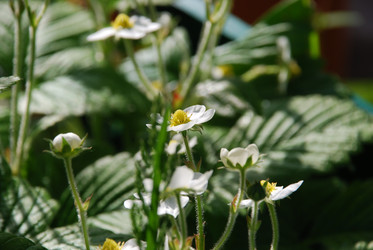 Similar image 21129885