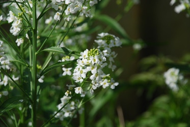 Similar image 21129903