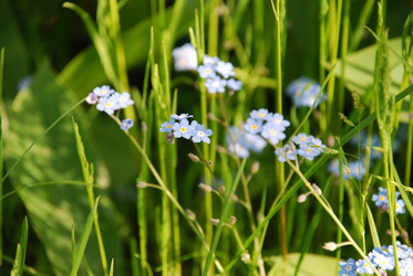 Similar image 21129904