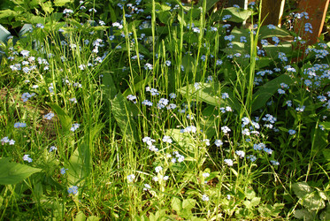 Similar image 21129905