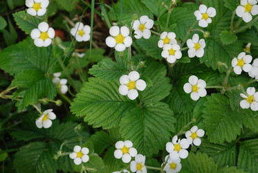 Similar image 21129906