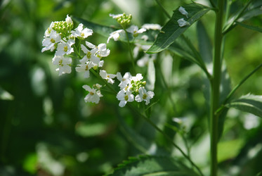 Similar image 21129909