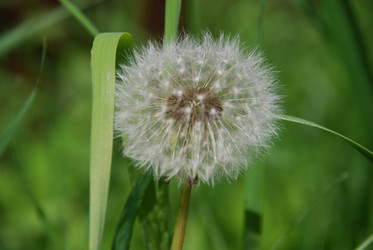 Similar image 21129910