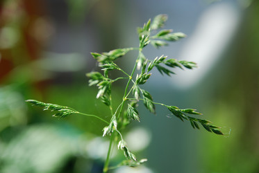 Similar image 21129463