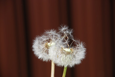 Similar image 21129911