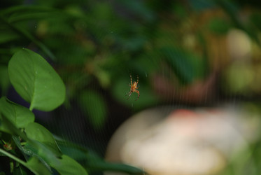 Similar image 21129464