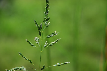 Similar image 21129465