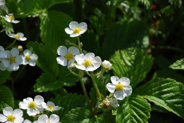 Similar image 21129912