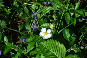 Similar image 21129913