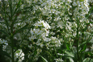 Similar image 21129466