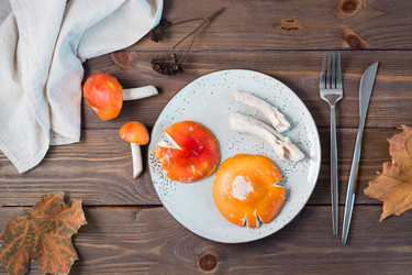 Similar image 21118739