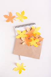 Similar image 21118753