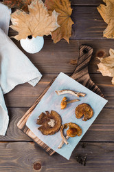 Similar image 21118769