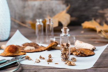 Similar image 21118792