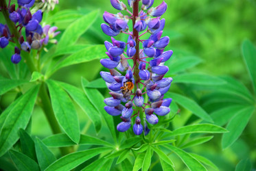 Similar image 21129467