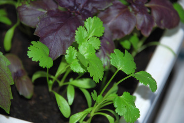 Similar image 21129468