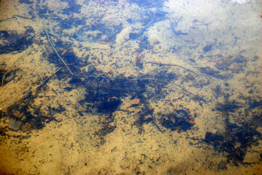 Similar image 21129469