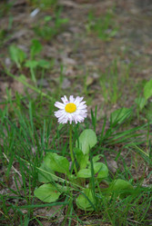 Similar image 21129470