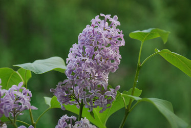 Similar image 21129471