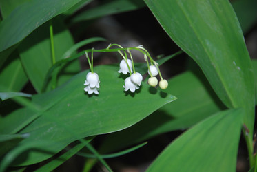 Similar image 21129473