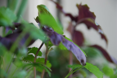 Similar image 21129474