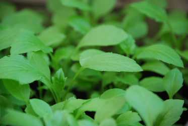 Similar image 21129475